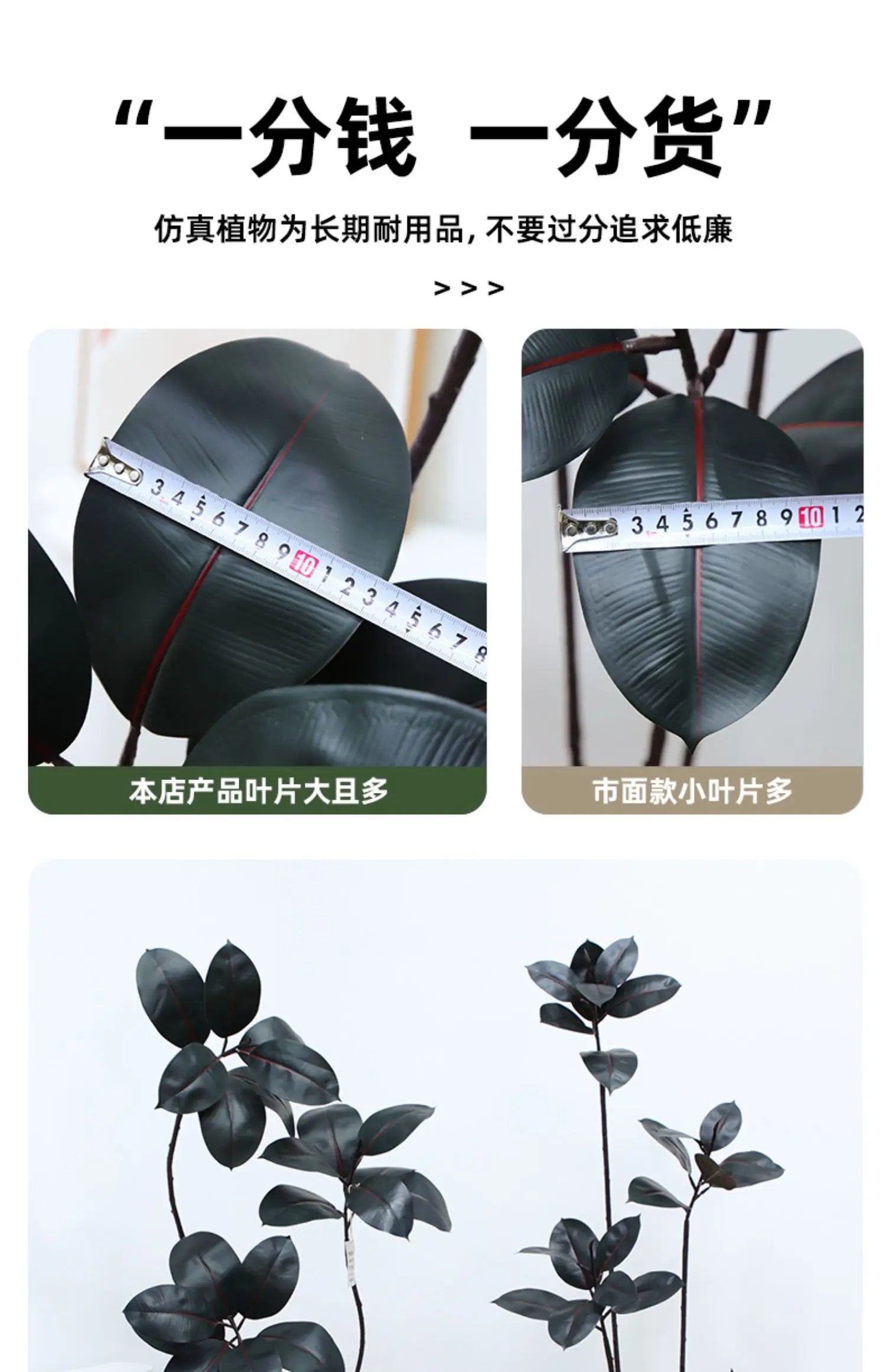 Artificial green rubber tree plant by 𝕄𝕔 𝕋𝕙𝕖 𝔹𝕝𝕒𝕔𝕜 𝔻𝕚𝕒𝕞𝕠𝕟�