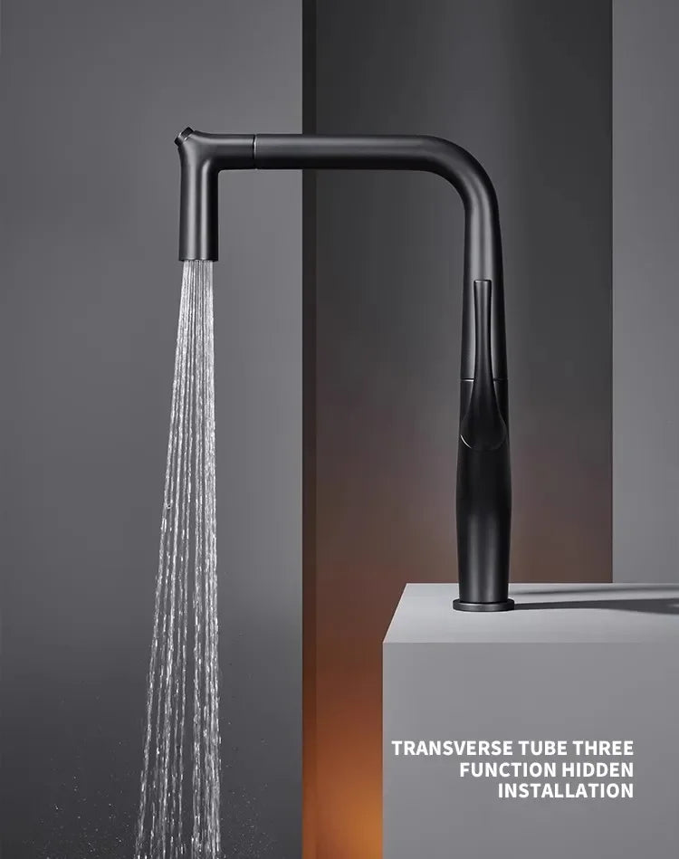 Pull-out water filter tap by šš ššš š¹šššš š»šššš šļæ½