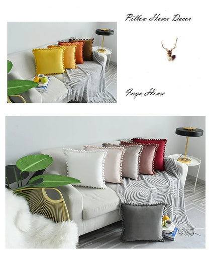 Mohammad Collection