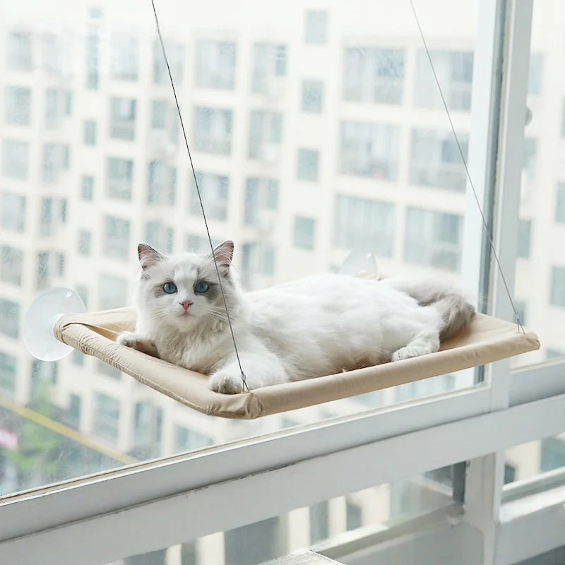 Cat window bed with suction cup hammock by 𝕄𝕔 𝕋𝕙𝕖 𝔹𝕝𝕒𝕔𝕜 𝔻𝕚𝕒𝕞𝕠𝕟