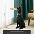 Nordic High-grade Resin Gentleman Dog Home Decoration High-value Guardian Gentleman Dog Decoration Floor Ornament Decoration - https://mohammadcollection.com