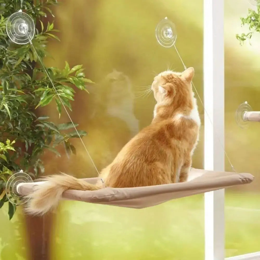Cat window bed with suction cup hammock from 𝕄𝕔 𝕋𝕙𝕖 𝔹𝕝𝕒𝕔𝕜 𝔻𝕚𝕒𝕞𝕠𝕟
