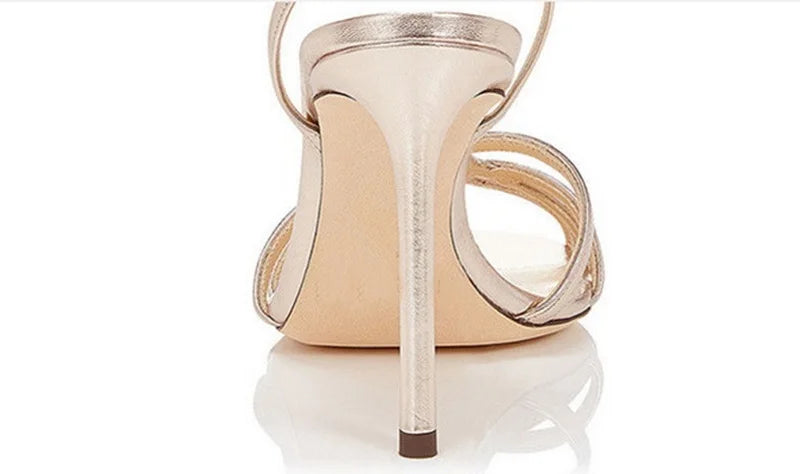 Mohammad Collection