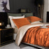 DISANGNI 22 Momme 6A Mulberry Silk Duvet Cover – Reversible A/B Design | OEKO-TEX Certified Luxury Bedding - https://mohammadcollection.com