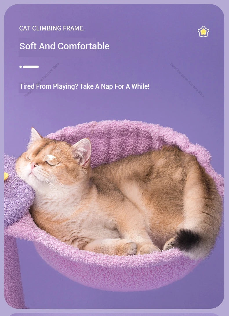 MC The Black Diamond Designers Denmark cat condo features a Nordic luxury space capsule tree climbing frame for cats.